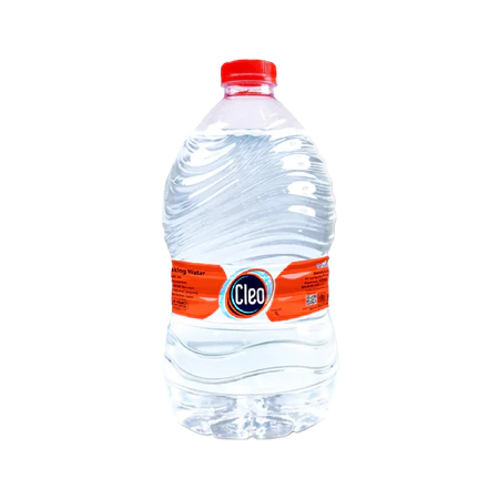 CLEO 1L